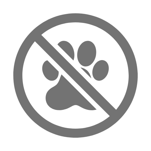 Sorry, no pets