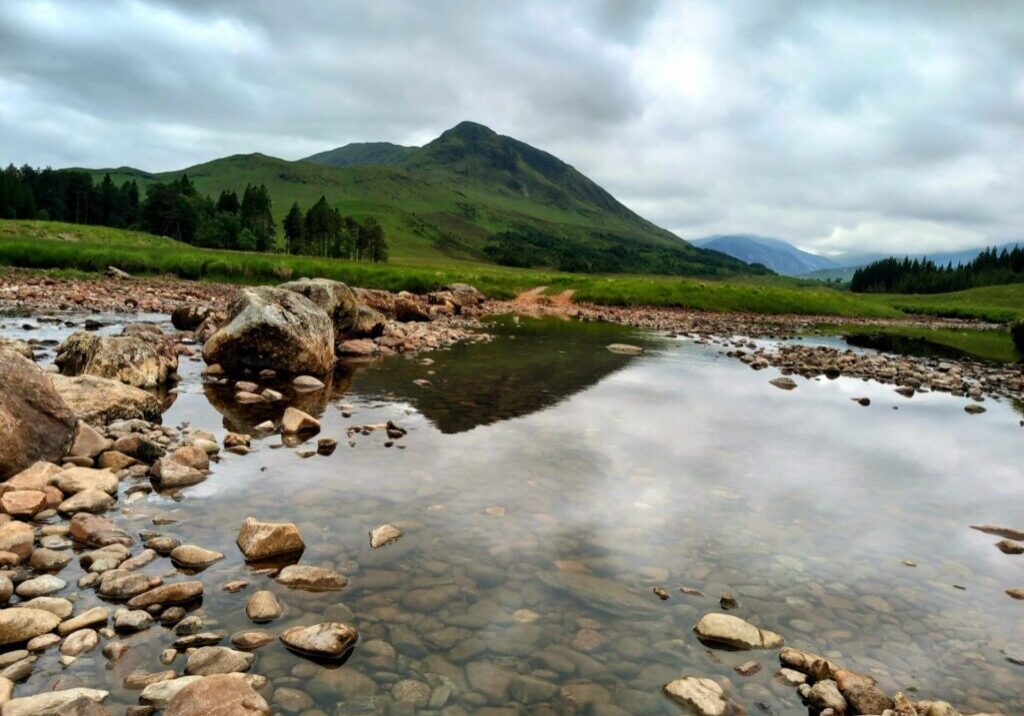 vegan scotland 3 vegan scotland 3