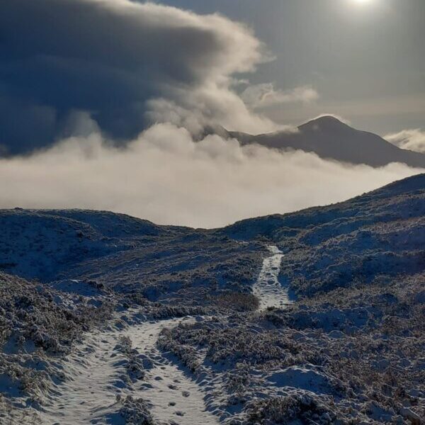 west highland way vegan