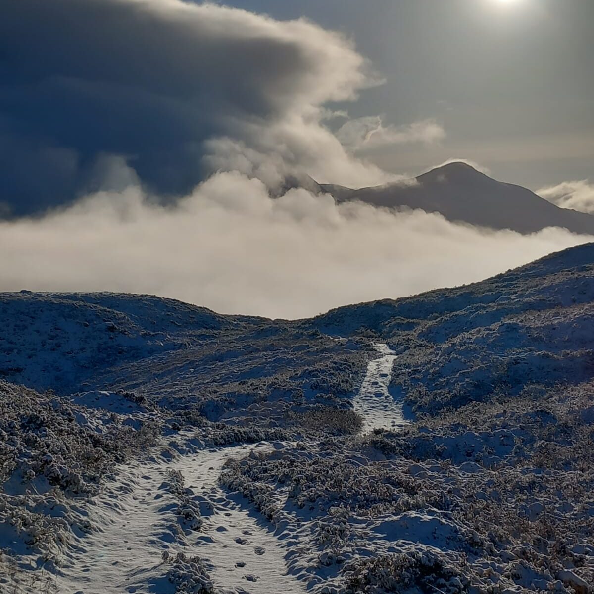 west highland way vegan